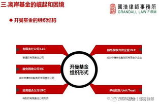 監(jiān)管升級背景下，海外投資的策略調(diào)整與投資管理之道