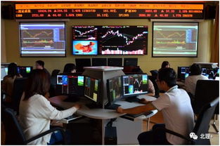 會(huì)計(jì)與金融學(xué)院投資管理專(zhuān)業(yè) 培養(yǎng)未來(lái)金融精英的搖籃